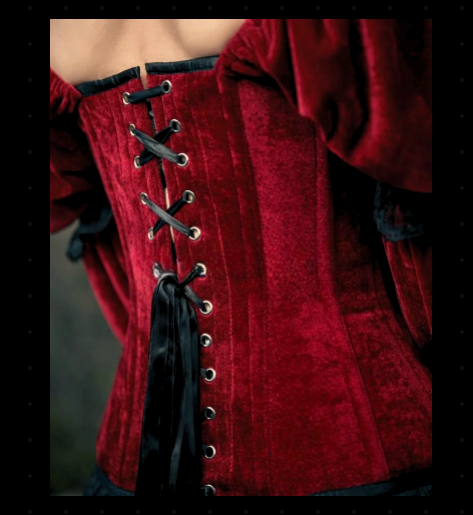 Elegant Gothic Burgundy Victorian Velvet Corset Dress